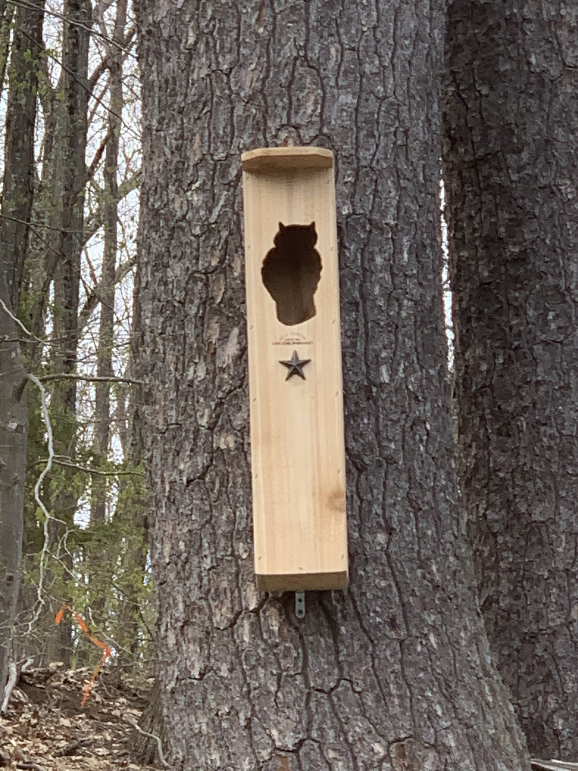 Cedar Owl House Nesting Box